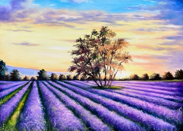 The Lavender Field